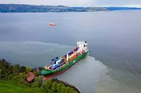 'Very bulky new neighbour': Norwegian man wakes up to find container ship in garden