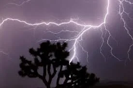IMD predicts widespread thunderstorms with heavy rainfall; orange alert issued across multiple states