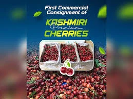 1st commercial consignment of premium cherries heads to Saudi Arabia, UAE: Piyush Goyal