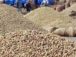 Will ensure that edible oil price reduction reaches consumers: Centre