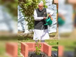 Deepen efforts towards protecting planet, PM Modi tells nation on World Environment Day