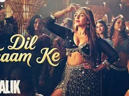 Huma Qureshi opens up about shooting for over 16 hours for the song Dil Thaam Ke from ‘Maalik’
