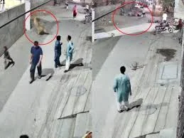 Pakistan: Man arrested after illegal 'pet' lion escapes, injures three people