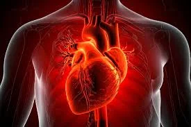 US researchers develop AI model improving sudden cardiac death prediction