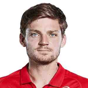 David Goffin