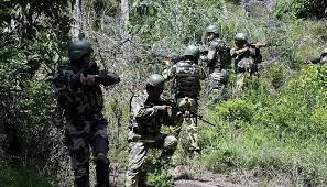Violence cannot bring change: HM Shah lauds security forces for eliminating 16 Maoists in Bastar