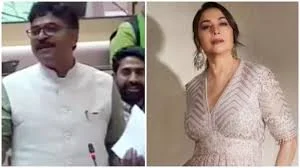 After Rohit Sharma row, another Cong leader sparks controversy; calls Madhuri Dixit 'second-grade' actress