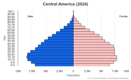 This is a population pyramid for the countries in Central or Middle America. These countries are Belize, Costa Rica, El Salvador, Guatemala, Honduras, Mexico, Nicaragua, Panama.