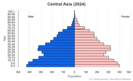 This is a population pyramid for the countries in Central Asia. These countries are Kazakhstan, Kyrgyzstan, Tajikistan, Turkmenistan, Uzbekistan