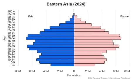 This is a population pyramid for the countries in East Asia. These countries are China, Hong Kong, Japan, North Korea, South Korea, Macau, Mongolia, Taiwan.