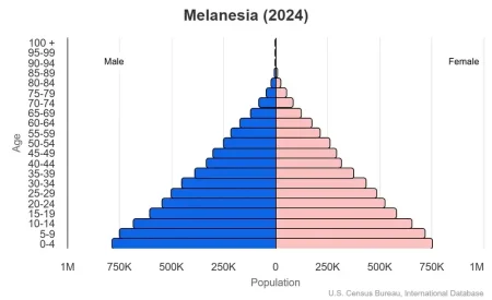 This is a population pyramid for the countries in Melanesia, which include Fiji, New Caledonia, Papua New Guinea, Solomon Islands, Vanuatu