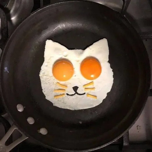 25 Daily Afternoon True Randomness Pictures 30-10-2026 Friday