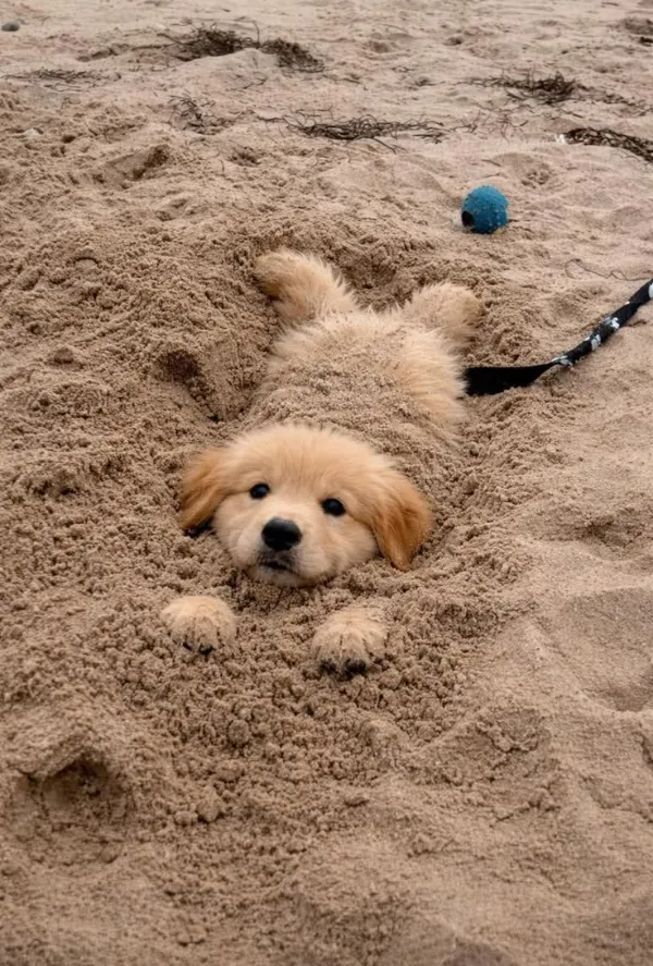 28 Daily Morning Randomness Pictures 29-10-2026 Thursday
