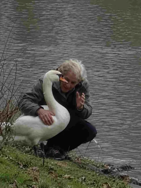 14 pictures We're Still Trying to Get a pluck On