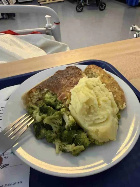 25 Random Food Pics and Photos of Meals