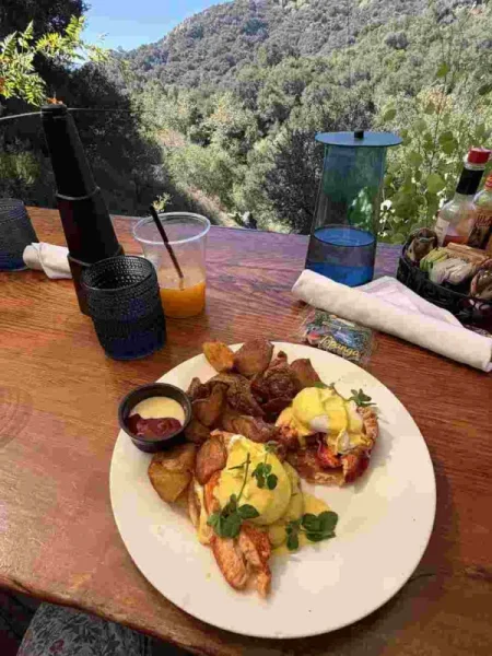 25 Random Food Pics and Photos of Meals