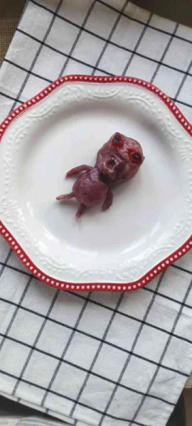 25 Daily Morning True Randomness Pictures 27-10-2026