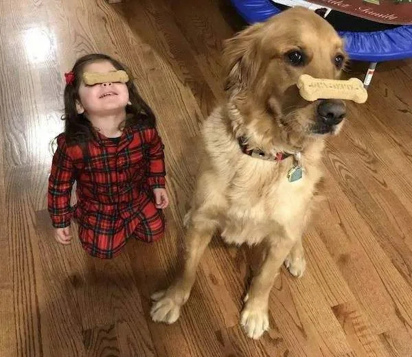 25 Daily Afternoon True Randomness Pictures 30-10-2026 Friday